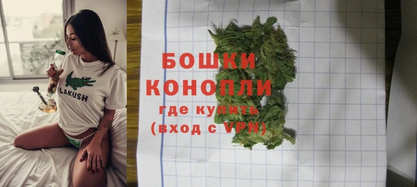 стафф Богородск
