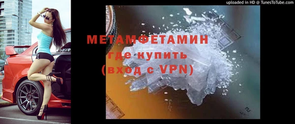 спиды Богданович