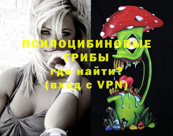 a pvp Богородицк