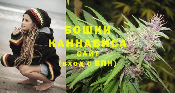 спиды Богданович