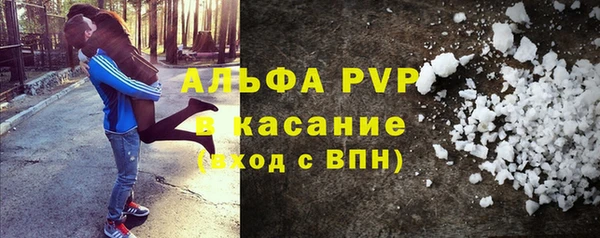 спиды Богданович