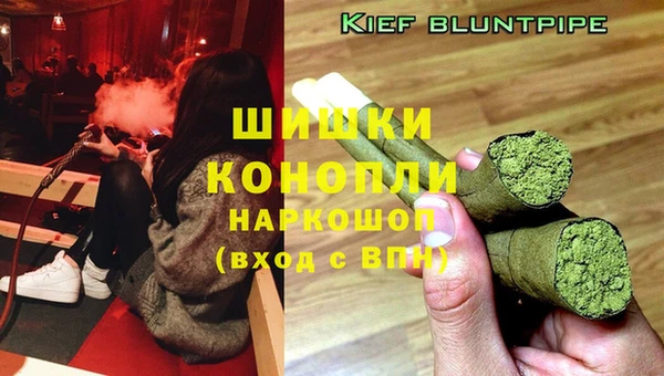 спиды Богданович