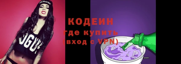 спиды Богданович