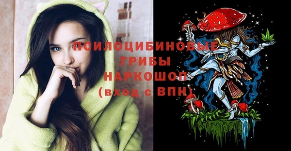 стафф Богородск