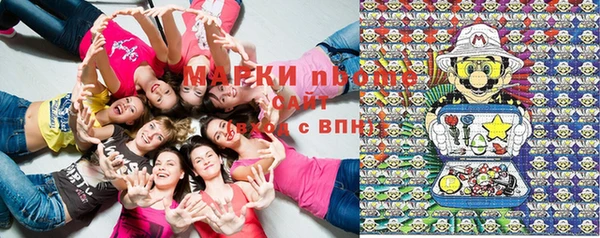 стафф Богородск