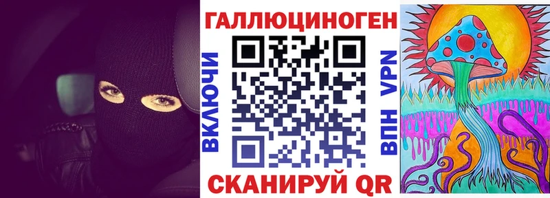 где продают наркотики  гидра ссылки  нарко площадка наркотические препараты  Гусев  Псилоцибиновые грибы мухоморы 